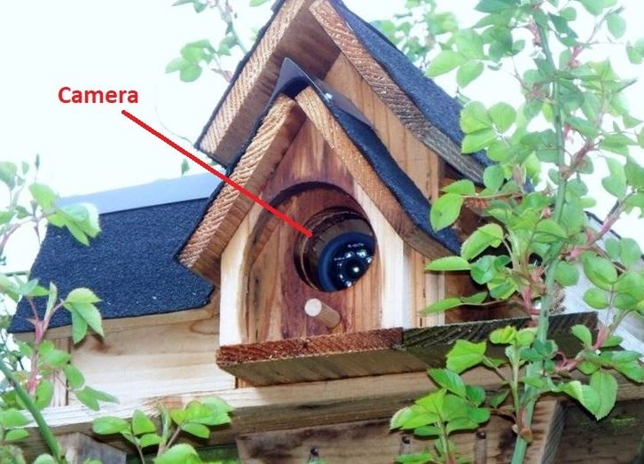 Disguise Cameras in Birdhouse Near Window In 6 Ways How To Hide A Security Camera In a Window | Disguise Cameras in Birdhouse Near Window