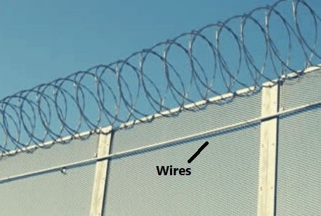 How To Hide Security Camera Wires Outside | Use Tall Shrub And Tall Fence