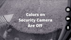 Colors on Security Camera Are Off