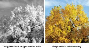 Security Camera Shows Black and White Images