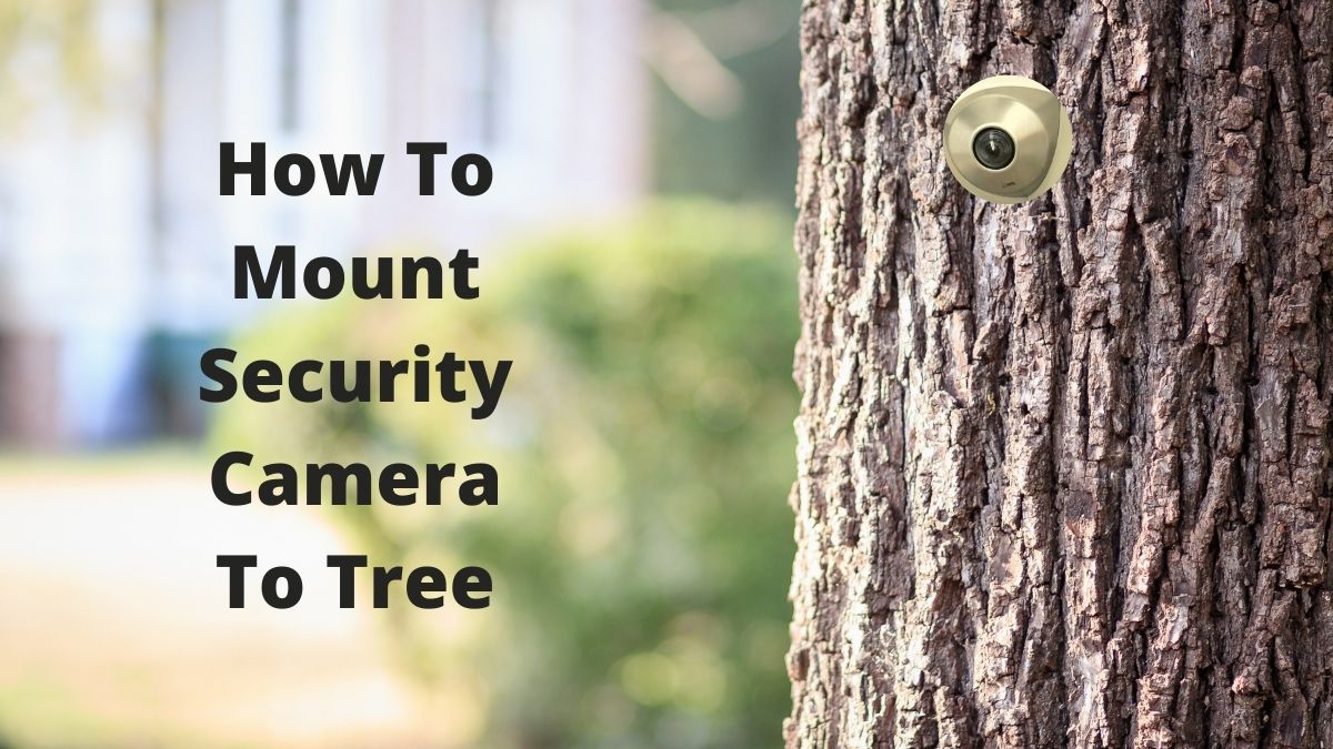 mounting security camera to tree