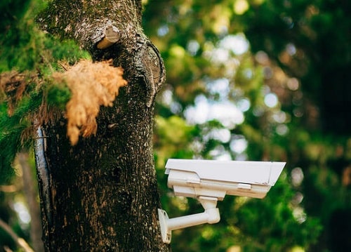Conceal camera near Trees Bushes Conceal camera near Trees-Bushes