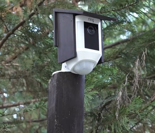 Disguise Outdoor Cameras in Birdhouse Disguise Outdoor Cameras in Birdhouse