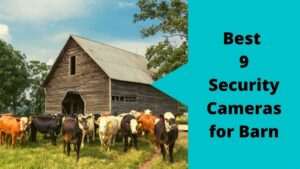 Best Security Cameras for Barn
