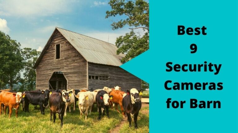 Best Security Cameras for Barn Best Security Cameras for Barn
