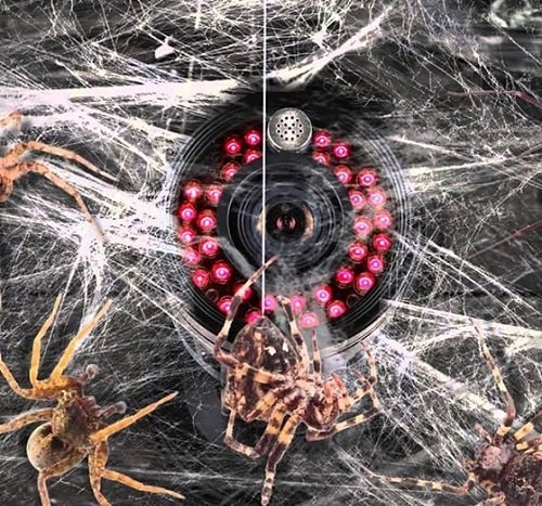 Clean Security Camera from Bugs and Cobwebs Clean Security Camera from Bugs and Cobwebs