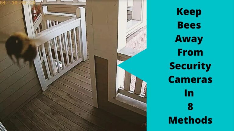 Keep Bees Away From Security Cameras