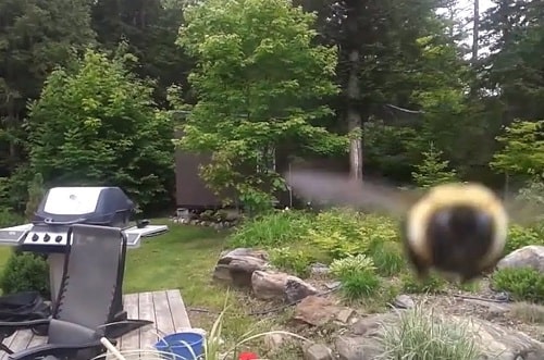 Use a Bee or Insect Repellent Use a Bee or Insect Repellent