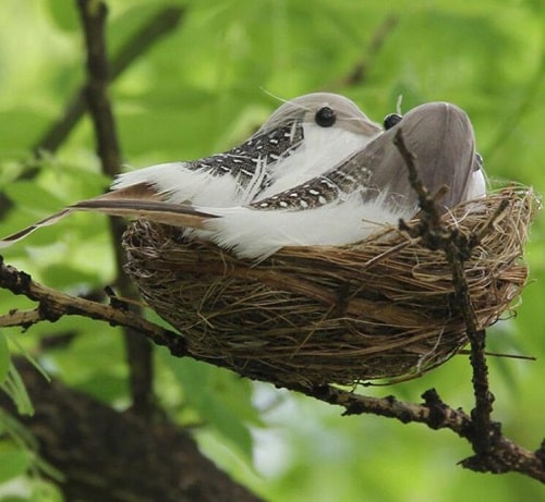 Fake Nests for Birds Fake Nests for Birds