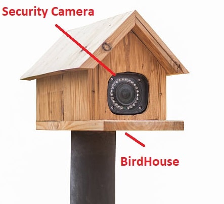 Place the Camera inside BirdHouse Place the Camera inside BirdHouse