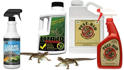 different types of lizard repellent different types of lizard repellent