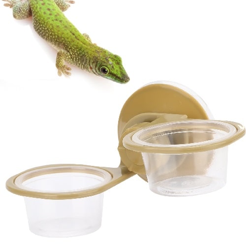 food of Geckos away from security cameras food of Geckos away from security cameras
