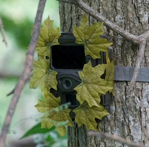 Security camera inside a Camouflage Skins