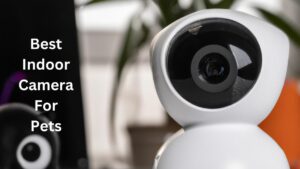 Best Indoor Camera For Pets