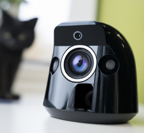 indoor security camera for pets